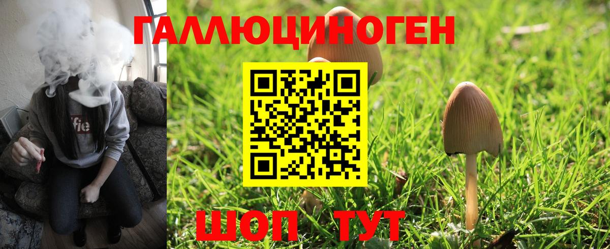 Псилоцибиновые грибы Psilocybe Печора